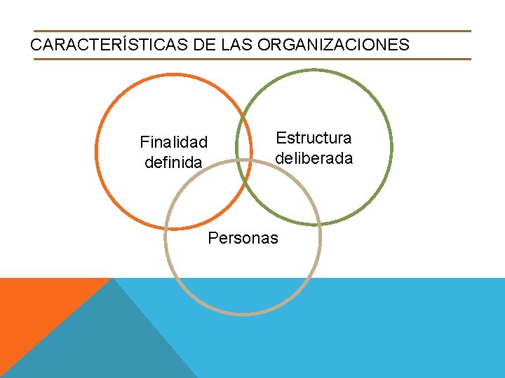 CARACTERÍSTICAS DE LAS ORGANIZACIONES Finalidad definida Estructura deliberada Personas 