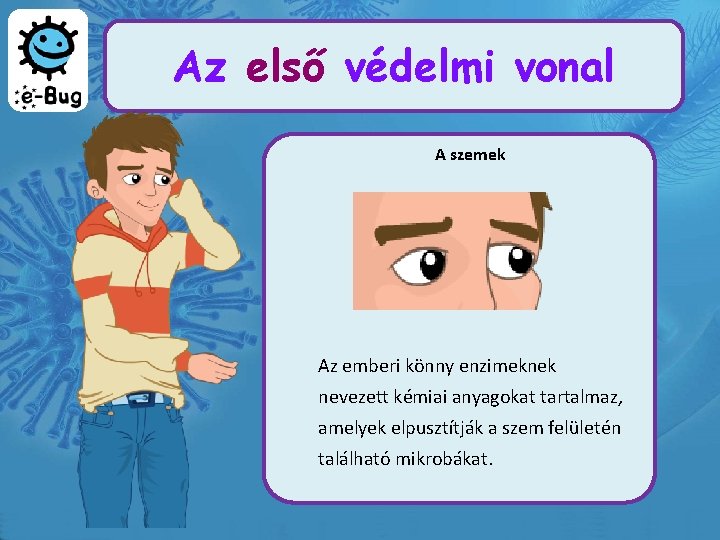 Az első védelmi vonal A szemek Az emberi könny enzimeknek nevezett kémiai anyagokat tartalmaz,