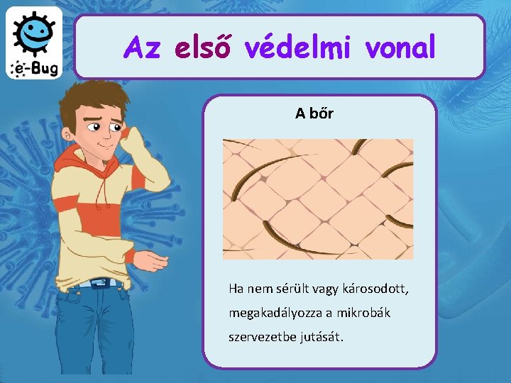 Az első védelmi vonal A bőr Ha nem sérült vagy károsodott, megakadályozza a mikrobák