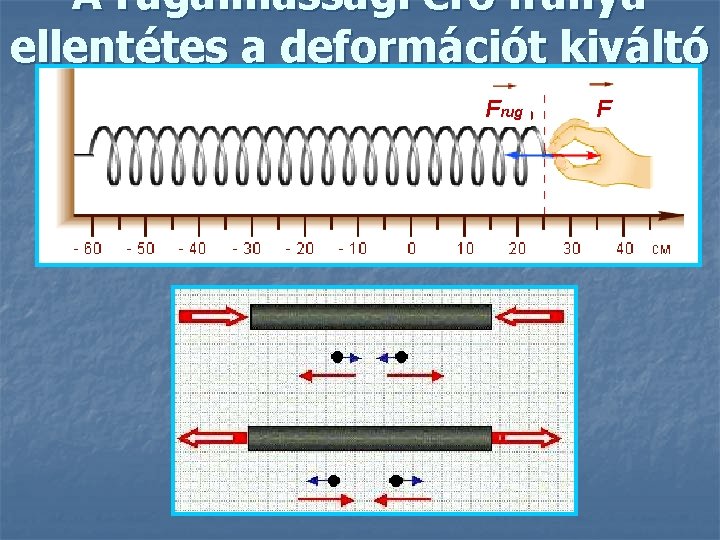 A rugalmassági erő iránya ellentétes a deformációt kiváltó erő irányával. F F rug 