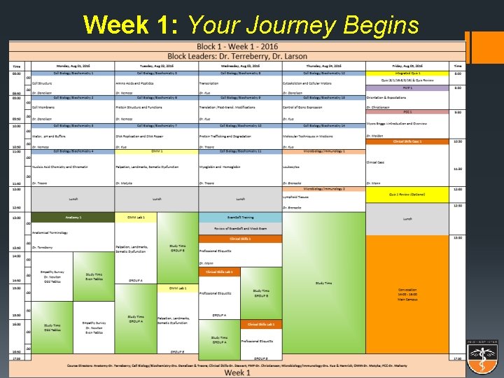 Week 1: Your Journey Begins 