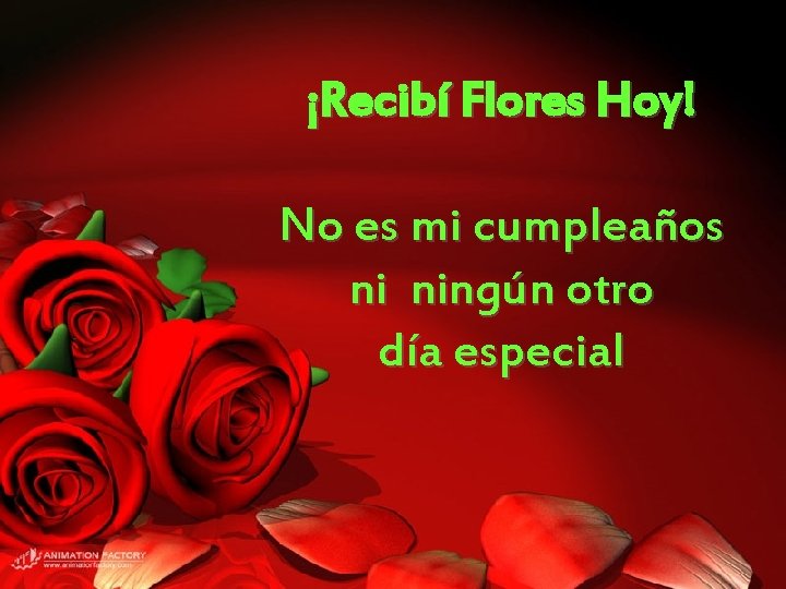 ¡Recibí Flores Hoy! No es mi cumpleaños ni ningún otro día especial 