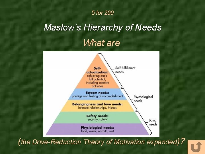 5 for 200 Maslow’s Hierarchy of Needs What are (the Drive-Reduction Theory of Motivation