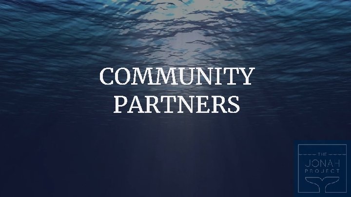 COMMUNITY PARTNERS COMMUNITY PARTNERS