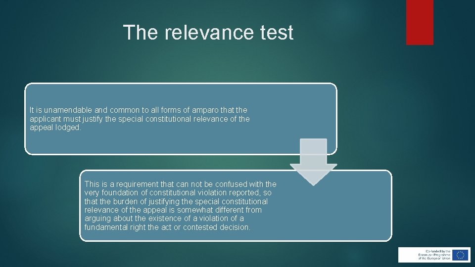 The relevance test It is unamendable and common to all forms of amparo that The relevance test It is unamendable and common to all forms of amparo that
