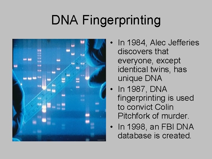 DNA Fingerprinting • In 1984, Alec Jefferies discovers that everyone, except identical twins, has