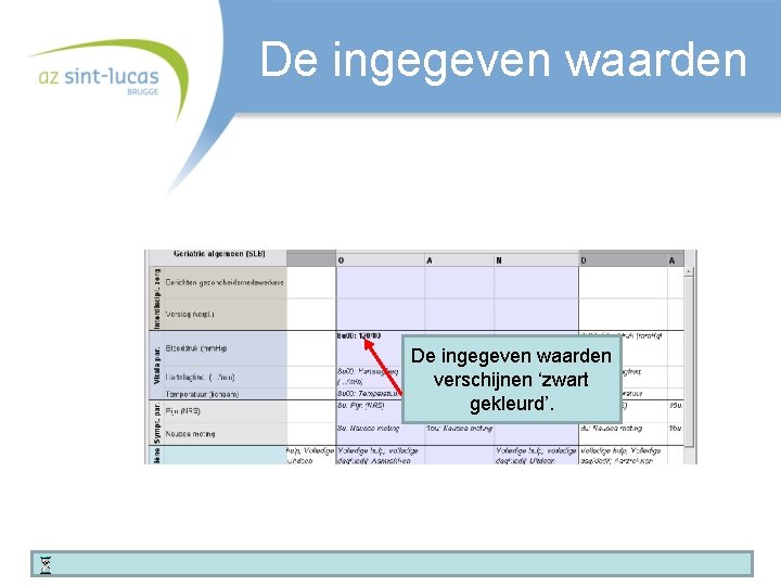 De ingegeven waarden verschijnen ‘zwart gekleurd’. 