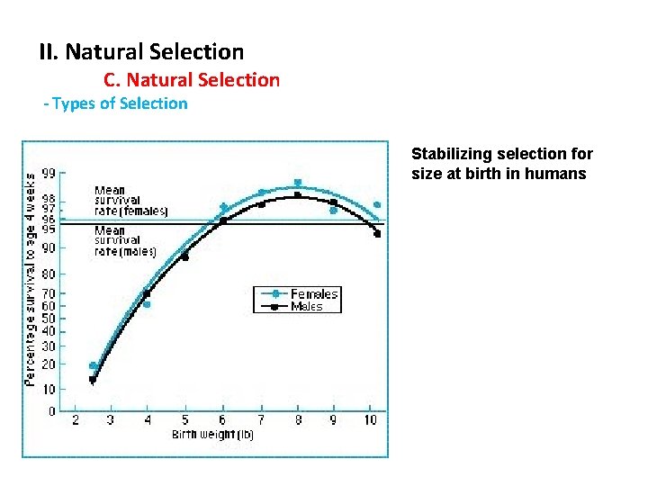 II. Natural Selection C. Natural Selection - Types of Selection Stabilizing selection for size