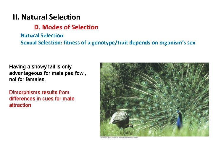 II. Natural Selection D. Modes of Selection Natural Selection Sexual Selection: fitness of a