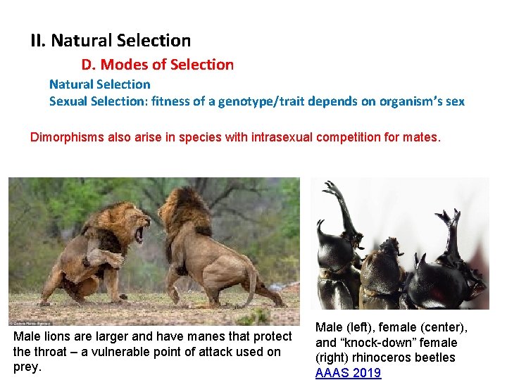 II. Natural Selection D. Modes of Selection Natural Selection Sexual Selection: fitness of a