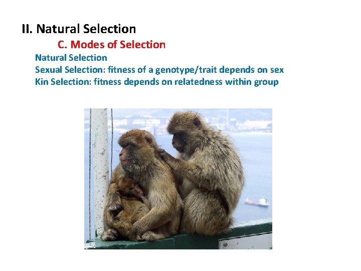 II. Natural Selection C. Modes of Selection Natural Selection Sexual Selection: fitness of a