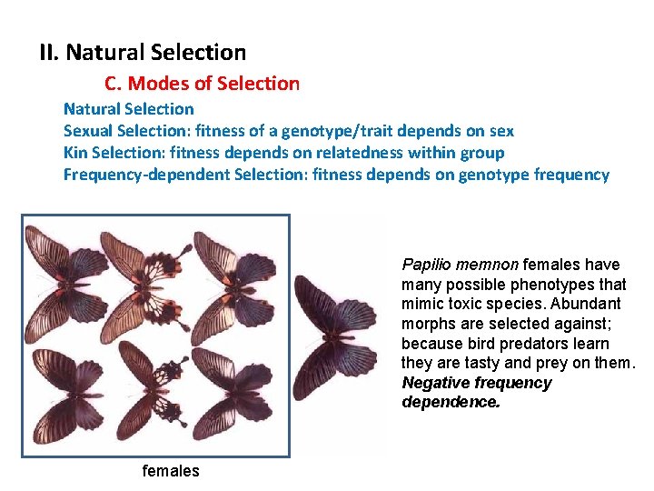 II. Natural Selection C. Modes of Selection Natural Selection Sexual Selection: fitness of a