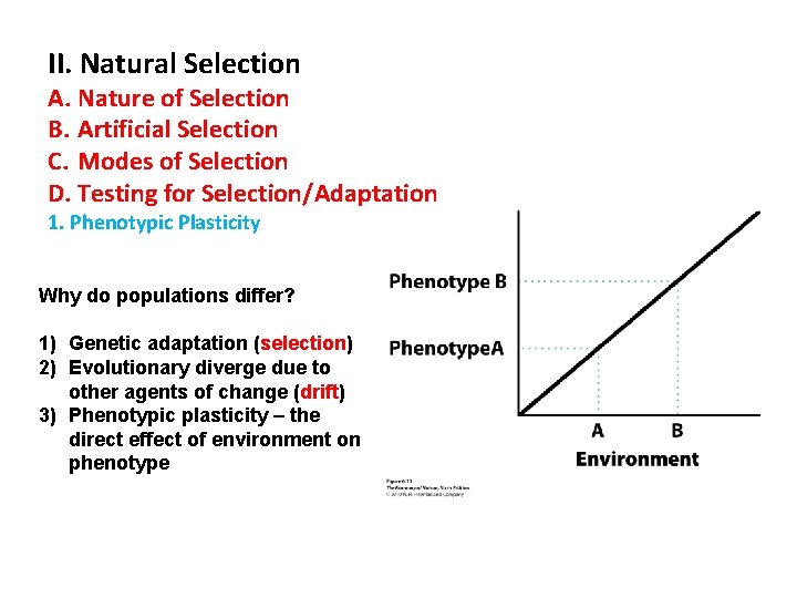 II. Natural Selection A. Nature of Selection B. Artificial Selection C. Modes of Selection