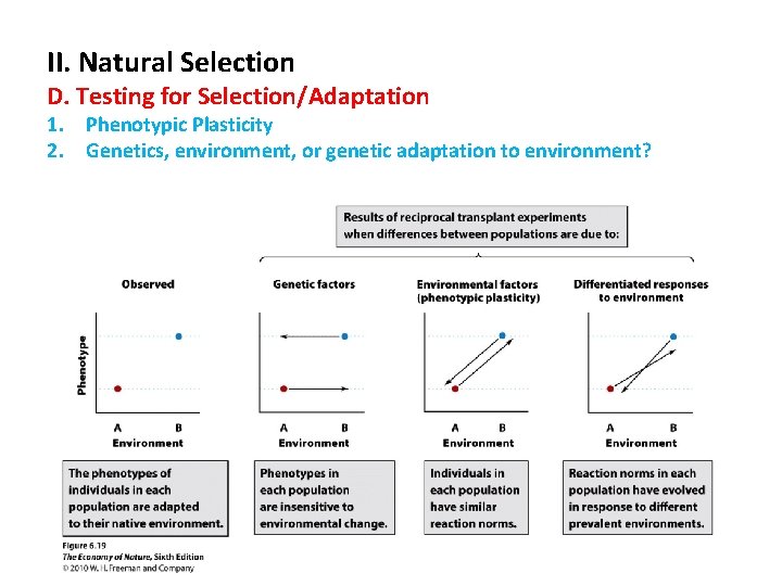 II. Natural Selection D. Testing for Selection/Adaptation 1. Phenotypic Plasticity 2. Genetics, environment, or