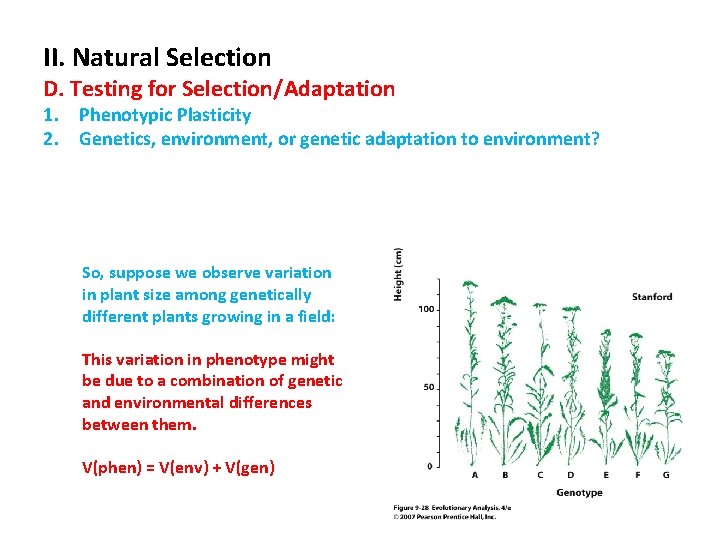II. Natural Selection D. Testing for Selection/Adaptation 1. Phenotypic Plasticity 2. Genetics, environment, or