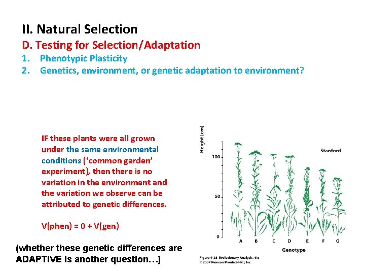 II. Natural Selection D. Testing for Selection/Adaptation 1. Phenotypic Plasticity 2. Genetics, environment, or