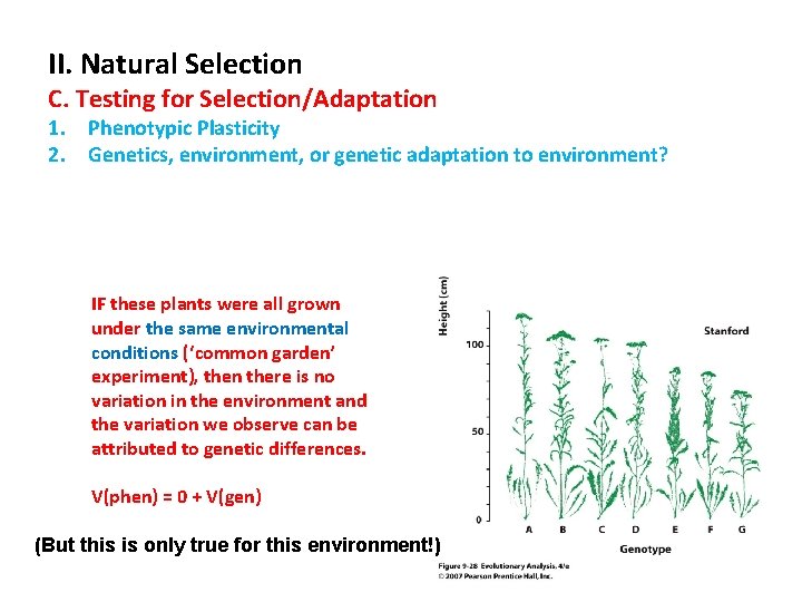 II. Natural Selection C. Testing for Selection/Adaptation 1. Phenotypic Plasticity 2. Genetics, environment, or