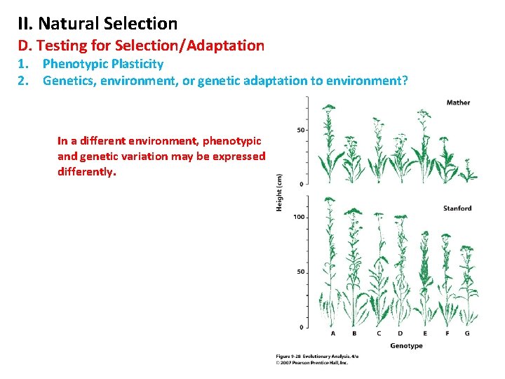 II. Natural Selection D. Testing for Selection/Adaptation 1. Phenotypic Plasticity 2. Genetics, environment, or