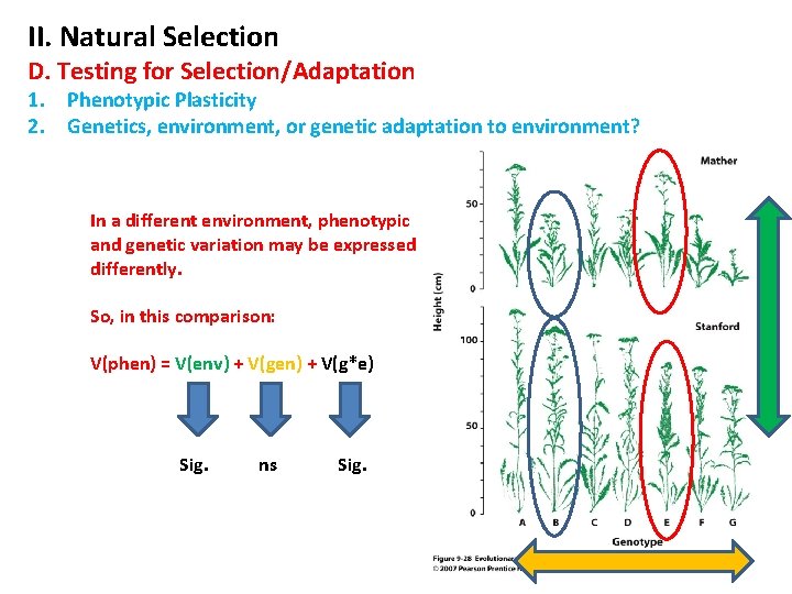 II. Natural Selection D. Testing for Selection/Adaptation 1. Phenotypic Plasticity 2. Genetics, environment, or