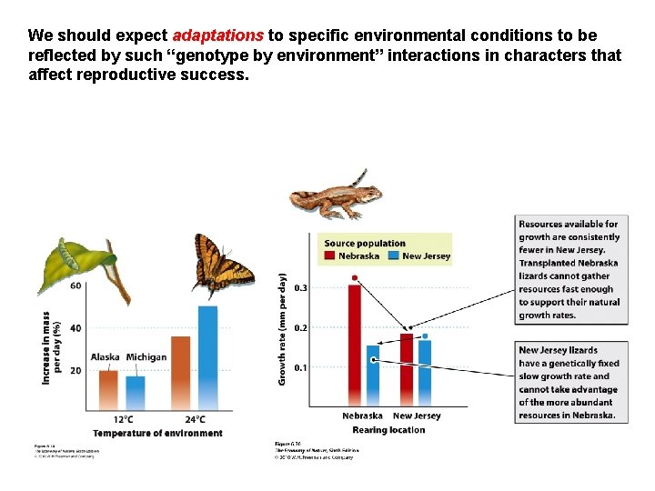 We should expect adaptations to specific environmental conditions to be reflected by such “genotype
