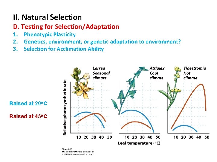 II. Natural Selection D. Testing for Selection/Adaptation 1. Phenotypic Plasticity 2. Genetics, environment, or