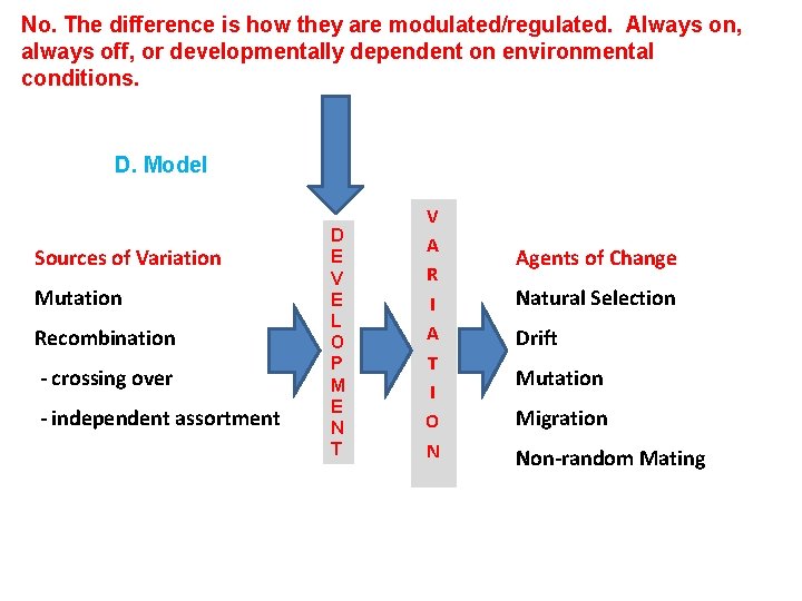 No. The difference is how they are modulated/regulated. Always on, always off, or developmentally