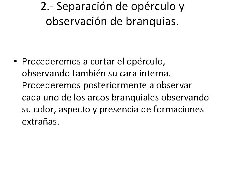 2. - Separación de opérculo y observación de branquias. • Procederemos a cortar el 2. - Separación de opérculo y observación de branquias. • Procederemos a cortar el
