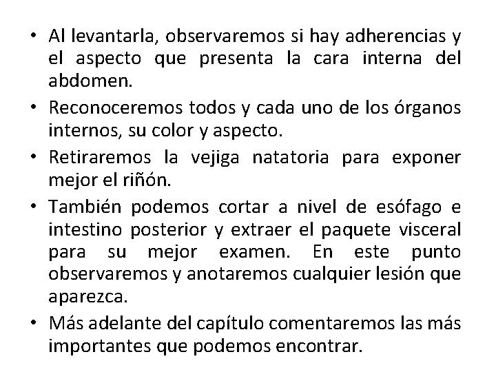 • Al levantarla, observaremos si hay adherencias y el aspecto que presenta la • Al levantarla, observaremos si hay adherencias y el aspecto que presenta la