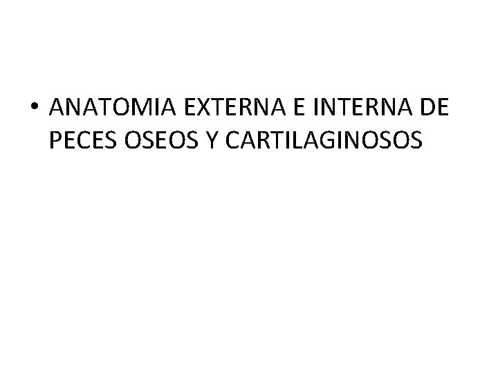 • ANATOMIA EXTERNA E INTERNA DE PECES OSEOS Y CARTILAGINOSOS • ANATOMIA EXTERNA E INTERNA DE PECES OSEOS Y CARTILAGINOSOS