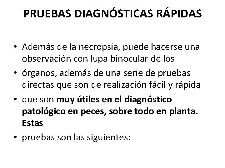 PRUEBAS DIAGNÓSTICAS RÁPIDAS • Además de la necropsia, puede hacerse una observación con lupa PRUEBAS DIAGNÓSTICAS RÁPIDAS • Además de la necropsia, puede hacerse una observación con lupa