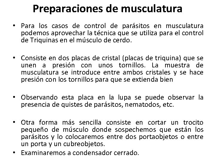 Preparaciones de musculatura • Para los casos de control de parásitos en musculatura podemos Preparaciones de musculatura • Para los casos de control de parásitos en musculatura podemos