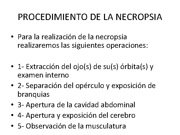 PROCEDIMIENTO DE LA NECROPSIA • Para la realización de la necropsia realizaremos las siguientes PROCEDIMIENTO DE LA NECROPSIA • Para la realización de la necropsia realizaremos las siguientes