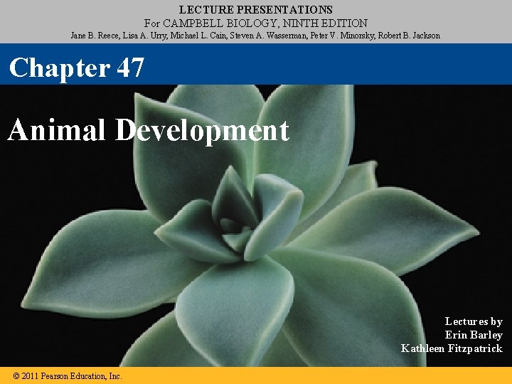 LECTURE PRESENTATIONS For CAMPBELL BIOLOGY, NINTH EDITION Jane B. Reece, Lisa A. Urry, Michael