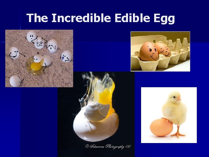 The Incredible Egg 