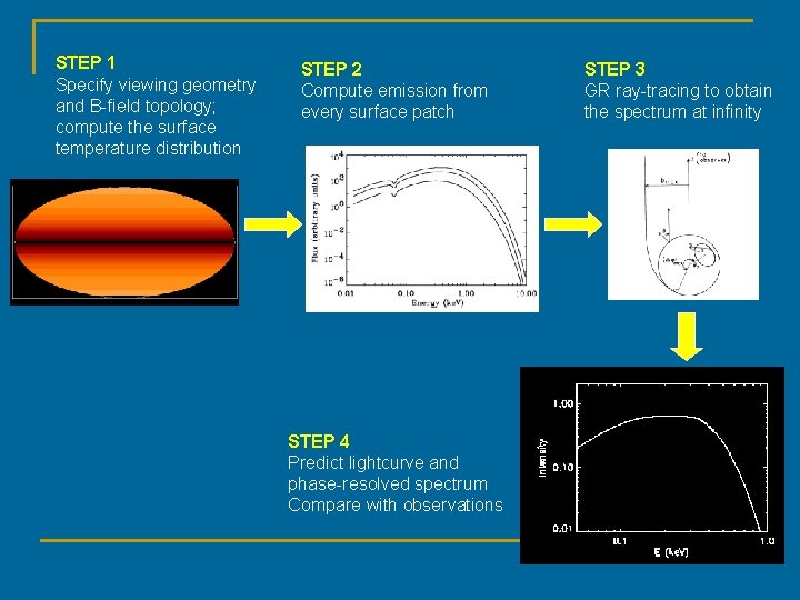 STEP 1 Specify viewing geometry and B-field topology; compute the surface temperature distribution STEP