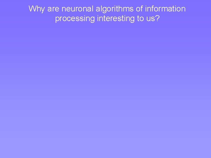 Why are neuronal algorithms of information processing interesting to us? Why are neuronal algorithms of information processing interesting to us?
