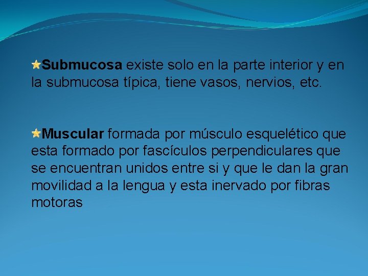 Submucosa existe solo en la parte interior y en la submucosa típica, tiene vasos,