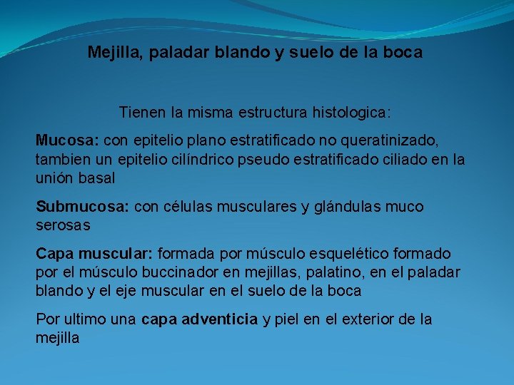 Mejilla, paladar blando y suelo de la boca Tienen la misma estructura histologica: Mucosa: