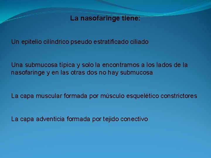 La nasofaringe tiene: Un epitelio cilíndrico pseudo estratificado ciliado Una submucosa típica y solo