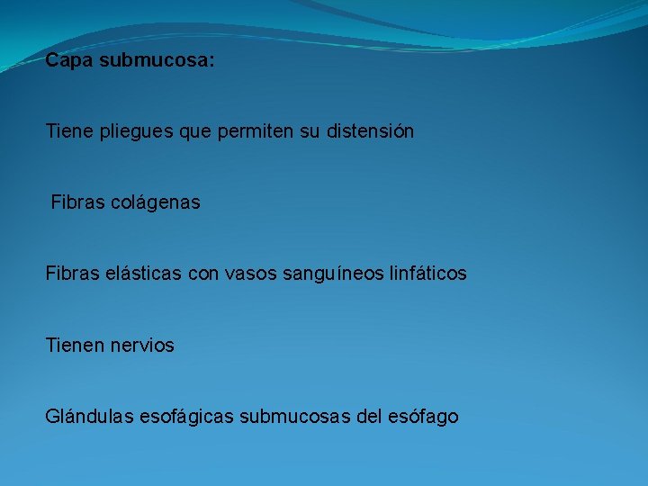 Capa submucosa: Tiene pliegues que permiten su distensión Fibras colágenas Fibras elásticas con vasos