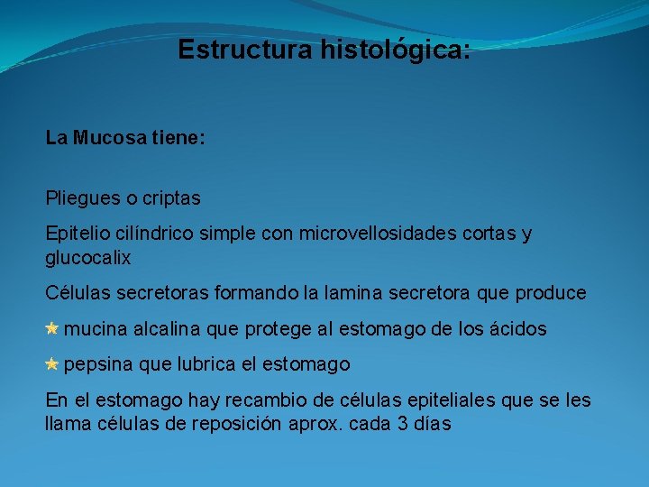 Estructura histológica: La Mucosa tiene: Pliegues o criptas Epitelio cilíndrico simple con microvellosidades cortas