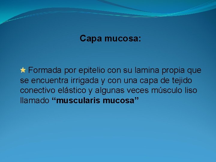 Capa mucosa: Formada por epitelio con su lamina propia que se encuentra irrigada y