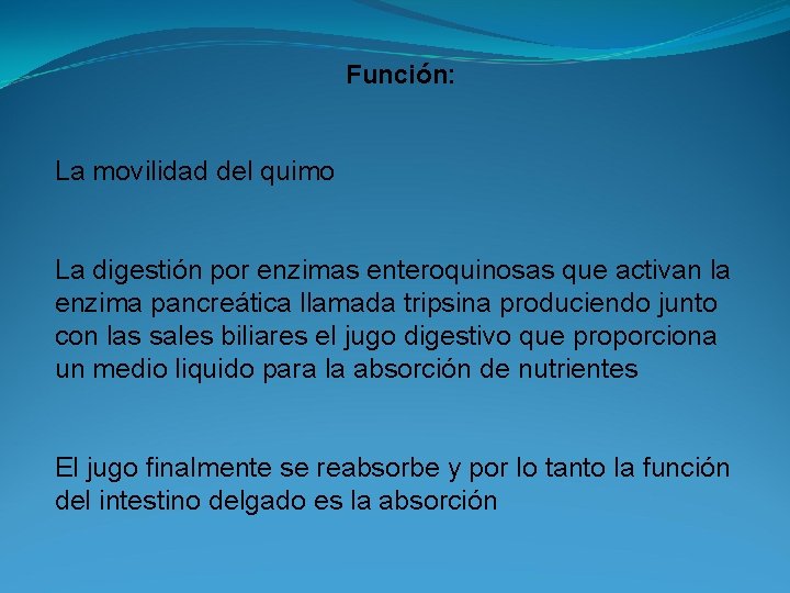 Función: La movilidad del quimo La digestión por enzimas enteroquinosas que activan la enzima