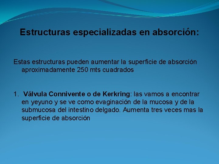 Estructuras especializadas en absorción: Estas estructuras pueden aumentar la superficie de absorción aproximadamente 250