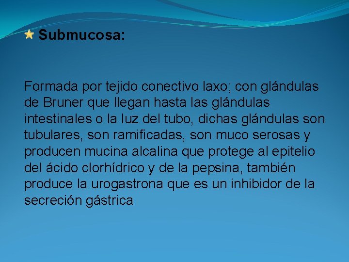 Submucosa: Formada por tejido conectivo laxo; con glándulas de Bruner que llegan hasta las