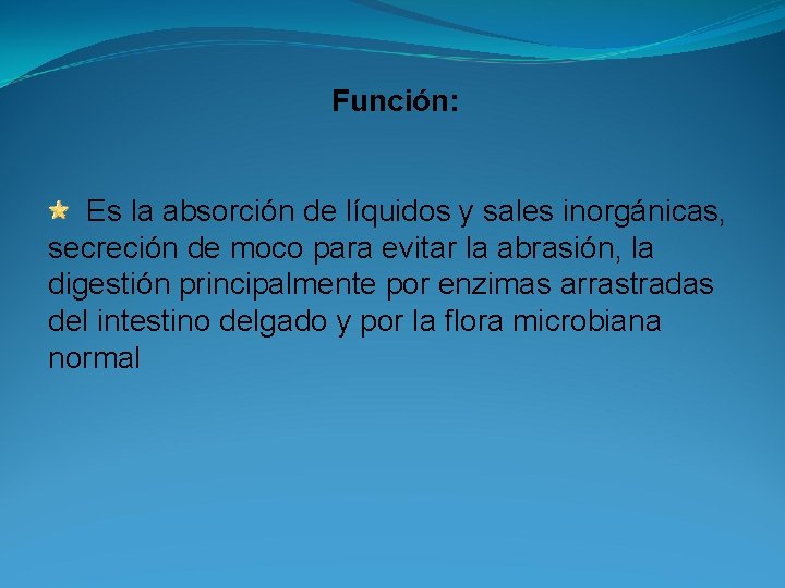 Función: Es la absorción de líquidos y sales inorgánicas, secreción de moco para evitar