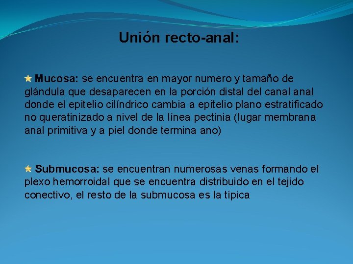 Unión recto-anal: Mucosa: se encuentra en mayor numero y tamaño de glándula que desaparecen