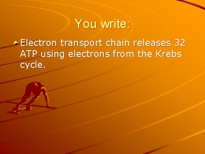 You write: Electron transport chain releases 32 ATP using electrons from the Krebs cycle.