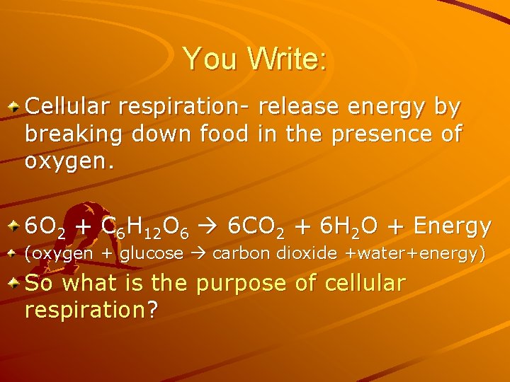 You Write: Cellular respiration- release energy by breaking down food in the presence of
