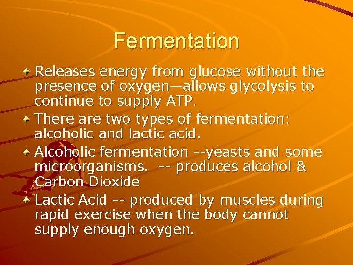 Fermentation Releases energy from glucose without the presence of oxygen—allows glycolysis to continue to